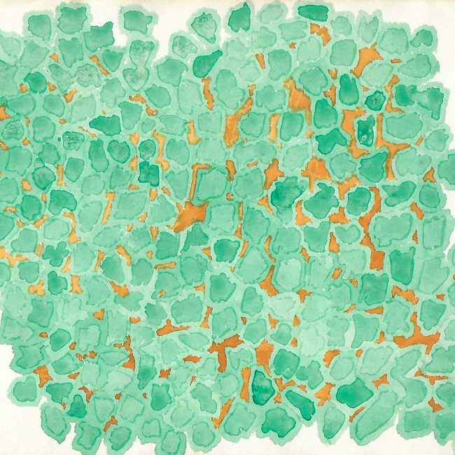 Emerald Outbreak